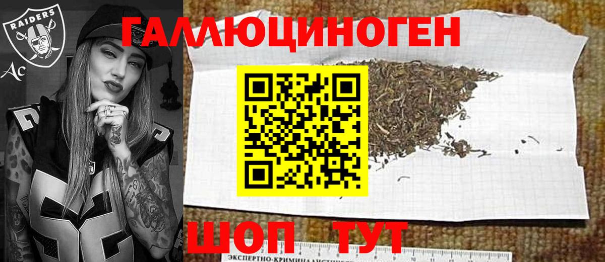 Саянск  Псилоцибиновые грибы Cubensis  даркнет сайт  Вход с VPN 